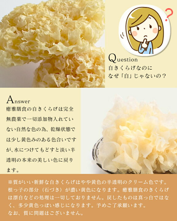 楽天市場】AAランク 白木耳 カット 白きくらげ 250g入り 根っこまで美味しい♪ 白キクラゲ 薬膳食材 薬膳料理 サラダに最適 海外オーガニック認定 : 癒雅膳食 楽天市場】AAランク 白木耳 カット 白きくらげ 250g入り 根っこまで美味しい♪ 白キクラゲ 薬膳食材 薬膳料理 サラダに最適 海外オーガニック認定 : 癒雅膳食