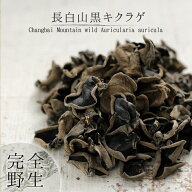 大容量 100g 黒木耳 山で採れた天然もの【特級品】長白山 野生 木耳きくらげ (原木) 秋木耳 薬膳食材 マ…