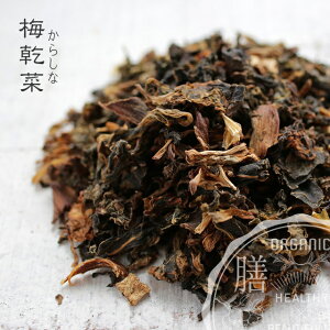 100g Y ~ 炵 p[[эޗ