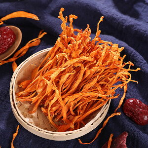 [VH] 50g R k匒 S[hRWZvX ~đ k Ƃイ