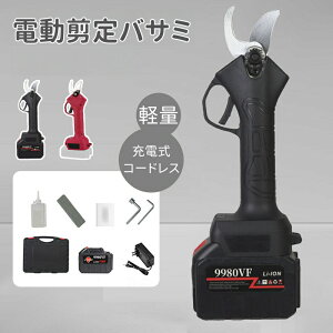 doT~ oT~ 96V ؒfa35mm R[hX y [doT~ 2iKJpx߉ d΂ }؂ d͂ dJb^[ d  ʎp  |pp