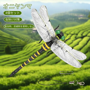 Ij}  ΍ Sst Xgbvt 4Zbg g{ 悯͌^ Xqdrsv iȂ nG  Q I L[z_[ qp  AEghA Lv 