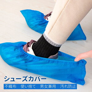 100i50jĝăV[YJo[ CJo[ ĝ sDzV[YJo[ t[TCY jp h~ h ϖ ׂ~ jp Ə  ɂ₳