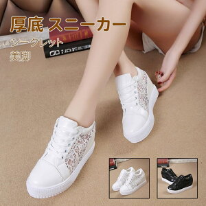 fB[X Xj[J[ Cq[ 8cmAbv  hJ [XV[X[؂ւ Cq[Xj[J[ V[Nbg C\[ fB[X Xj[J[ V[Y gLт r 