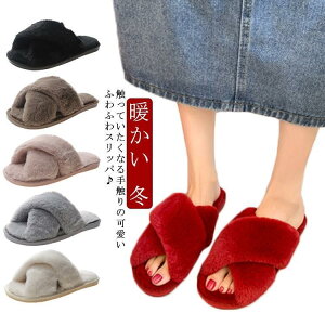 Xbp g ~ [V[Y   q fB[X 킢 ݃J[ t@[ tFCNt@[   O
