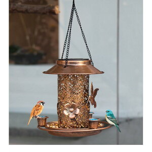 a zd o[htB[_[ ݂艺 a 쒹 pi O a 쒹a a   