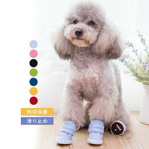 pXj[J[ C  V[Y ̌C 4  C V[Y u[c p  񂿂 hbOV[Y ی ybgObY