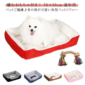 xbh ybgxbh ^ ybg VOxbh [xbh xbhV[c xbht[ xbhK[h xbhpbh xbhCxbh L  70×55cm ӂӂ H~ p Lp ^ L