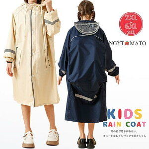 CR[g fB[X CEFA WjA OJeq Jbp t[ht co hZΉ [ܕt h J n ʊw ʉ