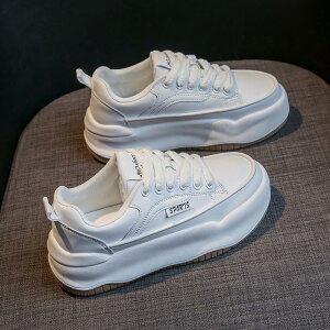 Xj[J[ fB[X  C V[Y ~ h ₷ Ȃ ʋC gAbv X|[c r r ʋ ʊw 