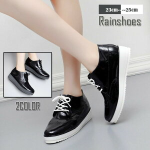 CV[Y fB[X Cu[c Xj[J[ h ~ JC _炩 AEghA ʋ ʊw Jp 