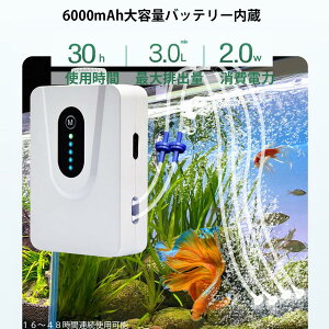 \[[GA|v 2.5L/min pGA|v É݌v5w 6000mAH̑eʓdr ȓd͓ h O GA[|v̕ʒ߉\