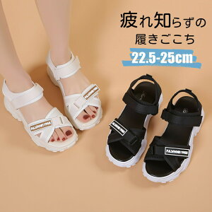 T_ fB[X   X|[c  T_ Ȃ ɂȂ y ₷ X|[cT_ _bhV[Y X|T 22.5`25.5cm bNXQ fB[X ₷ r