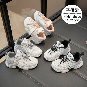 Xj[J[ LbY V[Y WjA q C jOV[Y ̎q j̎q ʊw wZ wZ o  ʊw ʉ t@bV ^ V[Y  AEhhA Xj[J[ 