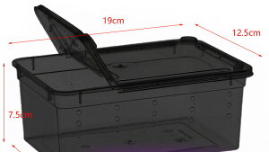 P[X ^ Rei {bNX Ct 11cm 19cm  E c ɐB