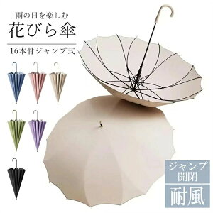 ԂтP 16{ JP P WvP Ԃ̌` JP fB[X Y Wv 傫 IV  y ~J  킢 Ԍ` Mtg v[g lC ~J bsO 蕨