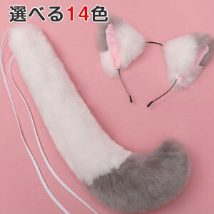 yyVX[p[SALEzL ϑ   RXv w K   ˎ Cxg t ӂӂ Zbg jp  b _X   Ղ  J`[V K