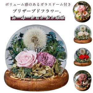 vU[uht[ KXh[ J[l[V ͂Ȃ ^|| t[AW t[Mtg  c a  v[g Mtg j LO  Fl d җ