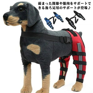  EZbg Œ yA 㑫֐ߕی T|[^[ G p 둫 ֐߃veN^[ p  T|[^[ G ֐߃veN^[ p ϋvQ yʑf KtBbg\ ybgp֐߃T|