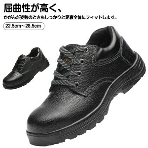 Ռz ɂ ZteB[V[Y ƌC SC ՌzC\[ Ռz}bg ~ ݔh~ ܐK[h |Sc ϖ |c SXj[J[ ₷