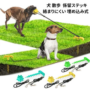 ybg ^p WpyO Wp|[ łnʂɂł߂ hbO|[ C[ [hZbg yďv ܂ɂ ߍݎ WXebL  U  ^ ^p 