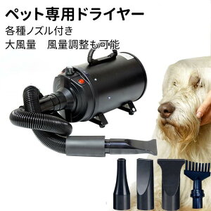 ybg hC[  hC[ ybgp 啗 ybgwA[hC[ 30-55x 4ރmYt É ybgT XCb` ȒP  ╗/ ȒPؑ ybgp @ L 