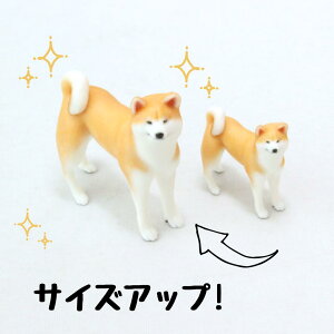 ysoramamezPartner's 31 Hc(@F1.1cm×3cm×s2.8cm)