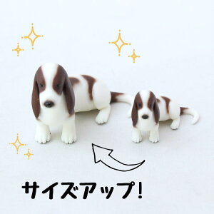 ysoramamezPartner's 6 oZbgEnEh(@F2cm×2.5cm×s3.9cm)