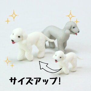 ysoramamezPartner's 4 xhgEeA(@F1.1cm×2.2cm×s3.2cm)