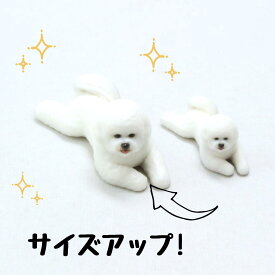 【soramame】Partner's 53 ビション・フリーゼ(寸法：幅1.8cm×高2cm×奥行4.1cm)