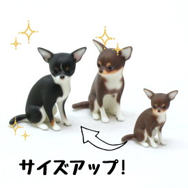 【soramame】Partner's 11 スムース・コート・チワワ(スケール：1/6)