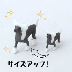 ysoramamezPartner's 2 `Cj[YENXebhEhbO(@F1.3cm×2.5cm×s2.7cm)