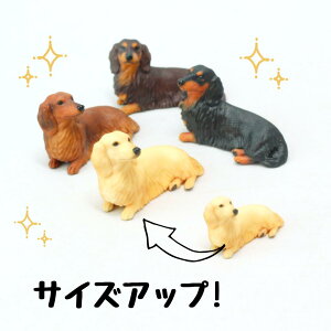 ysoramamezPartner's 54 OwA[hE~j`AE_bNXth(@F3cm×2cm×s1.7cm)