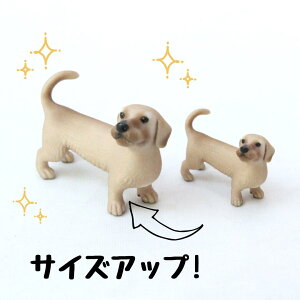 ysoramamezPartner's 3 CA[wA[hE~j`AE_bNXth(@F1.8cm×2.5cm×s3.5cm)