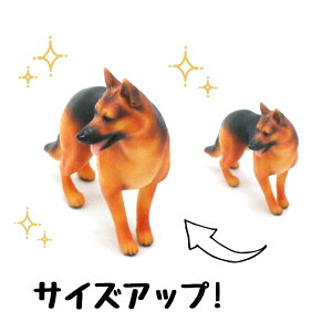ysoramamezPartner's 55 W[}EVFp[hEhbO(@F1.6cm×3cm×s3.2cm)