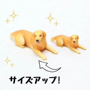 ysoramamezPartner's 17 S[fEg[o[(@F1.3cm×1.6cm×s4cm)