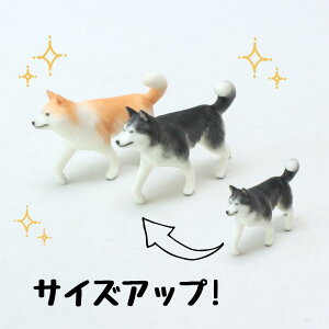 ysoramamezPartner's 46 VxAEnXL[(@F1.1cm×2.3cm×s4cm)