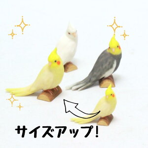 ysoramamezPartner's 44 IJCR(@F1.3cm×2.3cm×s2.5cm)