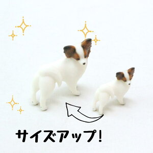 ysoramamezPartner's 35 ps(@F1.2cm×2.7cm×s2.7cm)