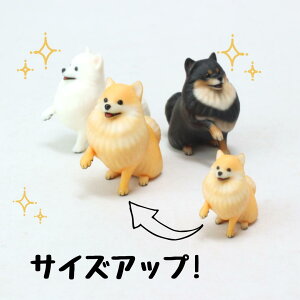 ysoramamezPartner's 34 |jA(@F1.4cm×2.5cm×s2.8cm)