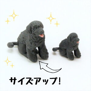 ysoramamezPartner's 18 |[`M[YEEH[^[EhbO(@F1.2cm×2.5cm×s2.6cm)