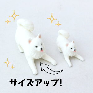 ysoramamezPartner's 1 TGh(@F1.8cm×2.3cm×s3.3cm)