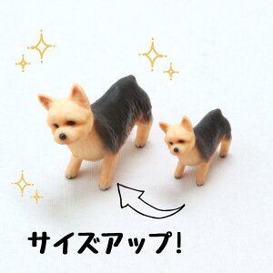 ysoramamezPartner's 57 [NV[EeA(@F1.3cm×2.6cm×s2.8cm)