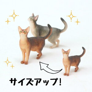 ysoramamezPartner's 98 ArVjA(@F1.2cm×2.5cm×s2.7cm)