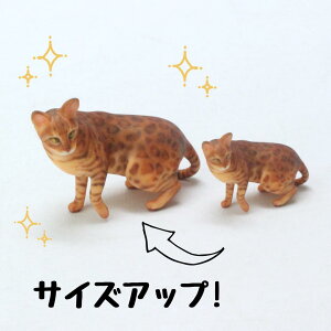 ysoramamezPartner's 107 xK(@F1.5cm×2.7cm×s3.9cm)