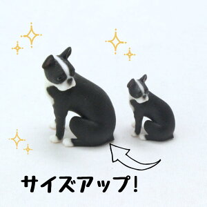 ysoramamezPartner's 68 {XgEeA(@F1.1cm×2.5cm×s1.5cm)
