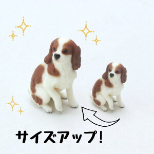 ysoramamezPartner's 69 LoAELOE`[YEXpjG(@F1.1cm×2.5cm×s2cm)