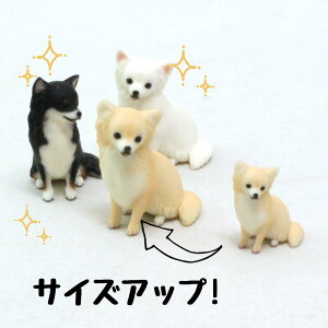 ysoramamezPartner's 61 OER[gE`(@F2cm×2.5cm×s1.5cm)