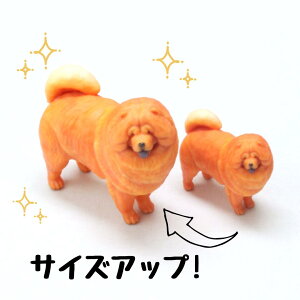 ysoramamezPartner's 120 `E`E(@F1.4cm×3cm×s3.3cm)