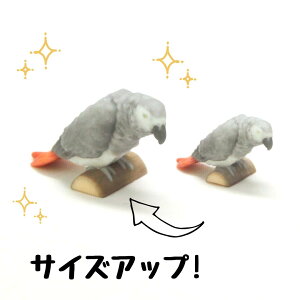�ysoramame�zPartner's 86 ���E��(���@�F��1.1cm×��1.5cm×���s3cm)
